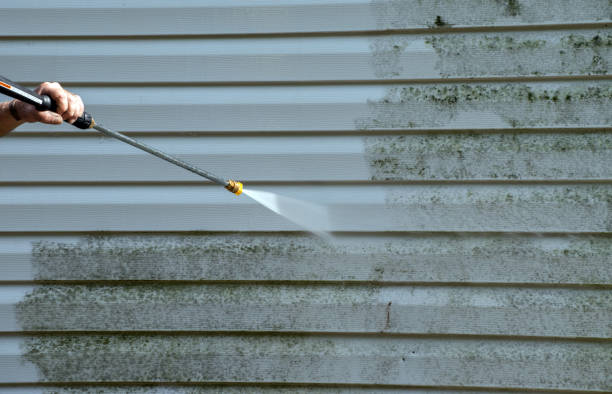 Best Driveway Pressure Washing  in West Pensacola, FL